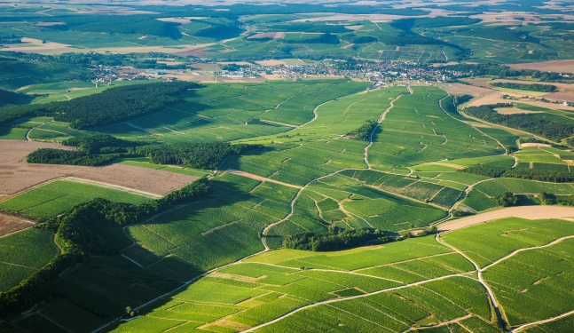 韦龙/Vaillons,蒙曼/Montmains